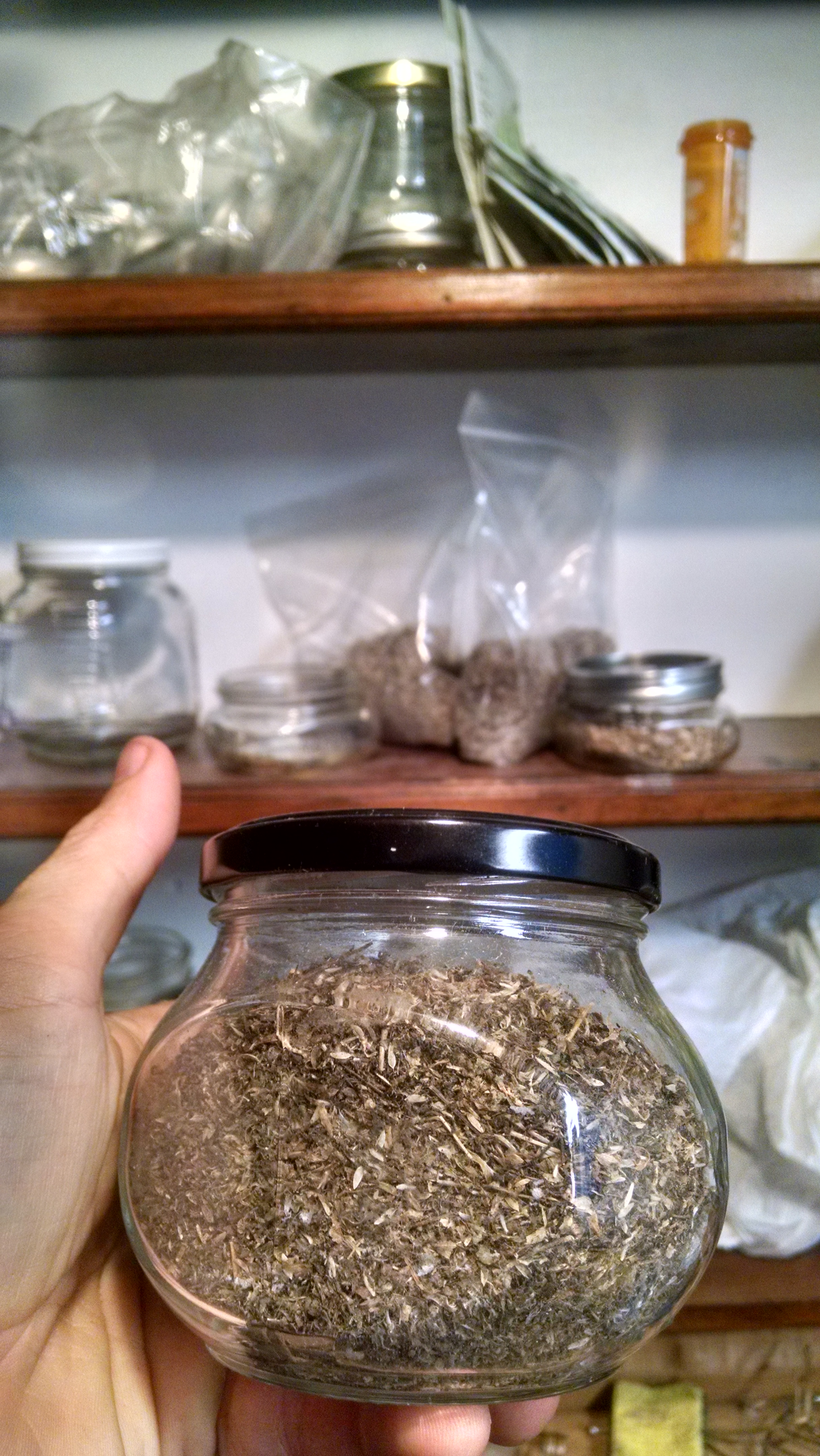 lettuce seed in a jar